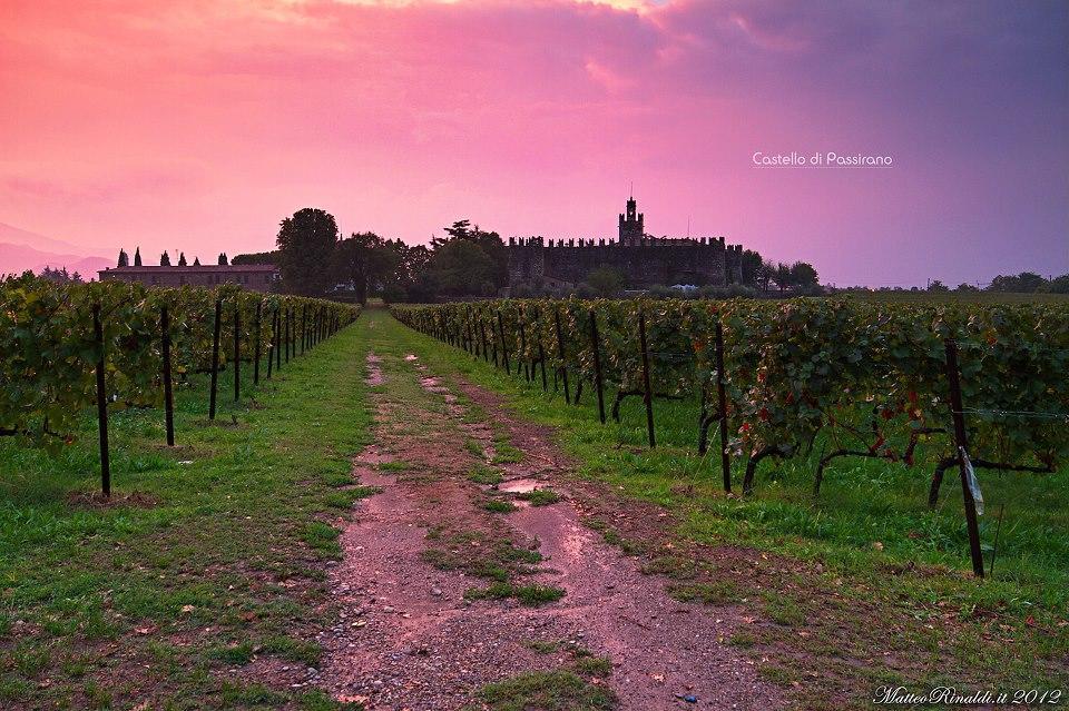 Wine & Lake In Franciacorta Passirano Kültér fotó